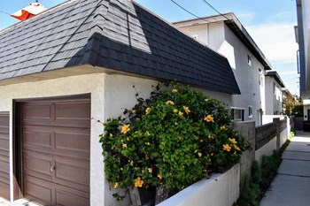 walkway between units with colorful foliage
